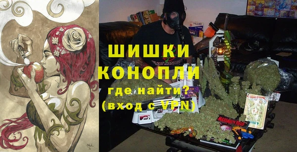 СК Бронницы