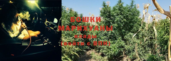 СК Бронницы
