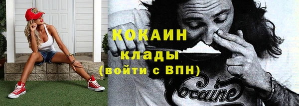 трава Бородино