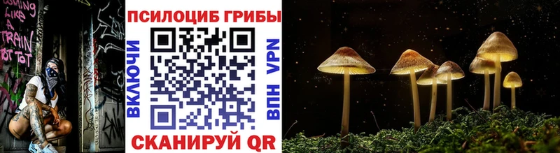 Галлюциногенные грибы Magic Shrooms  Купить закладки  Ардон 